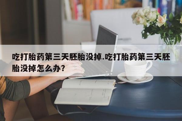 现在买打胎药怎么买多少钱吃打胎药第三天胚胎没掉.吃打胎药第三天胚胎没掉怎么办？