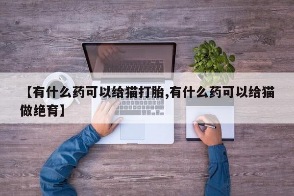 现在买打胎药怎么买多少钱【有什么药可以给猫打胎,有什么药可以给猫做绝育】
