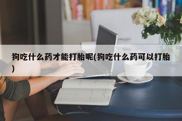 现在买打胎药怎么买多少钱狗吃什么药才能打胎呢(狗吃什么药可以打胎)