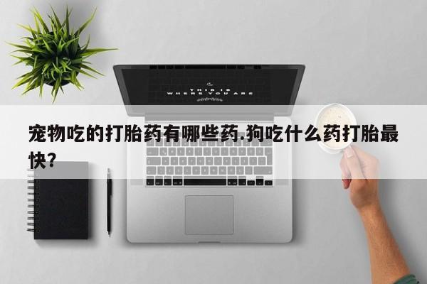 现在买打胎药怎么买多少钱宠物吃的打胎药有哪些药.狗吃什么药打胎最快？
