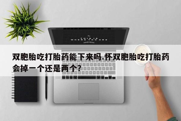 现在买打胎药怎么买多少钱双胞胎吃打胎药能下来吗.怀双胞胎吃打胎药会掉一个还是两个？