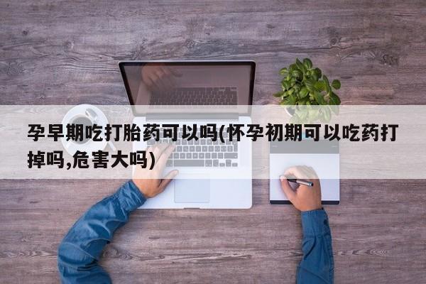 现在买打胎药怎么买多少钱孕早期吃打胎药可以吗(怀孕初期可以吃药打掉吗,危害大吗)