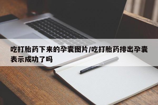 现在买打胎药怎么买多少钱吃打胎药下来的孕囊图片/吃打胎药排出孕囊表示成功了吗